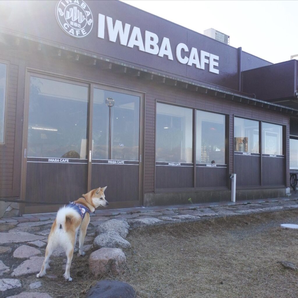 IWABA CAFE