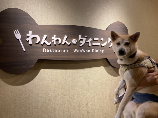 restaurant_with dog