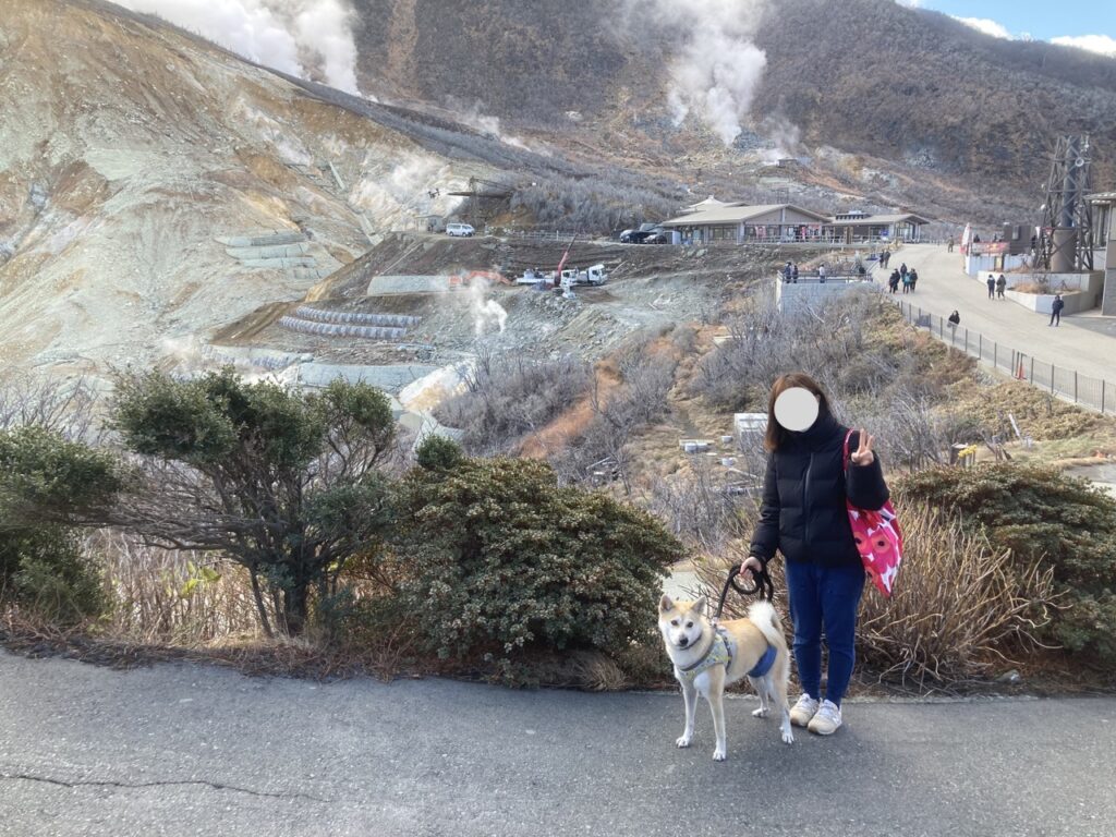 Owakudani sightseeing