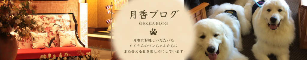 gekka official website_blog