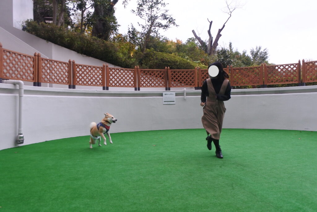 Wanwan Resort Katayamazu_dog run