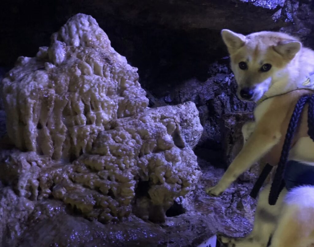 Hida Great Limestone Cave