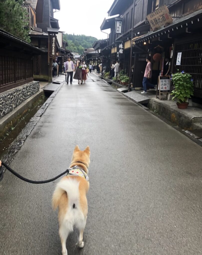 Hida Takayama sightseeing