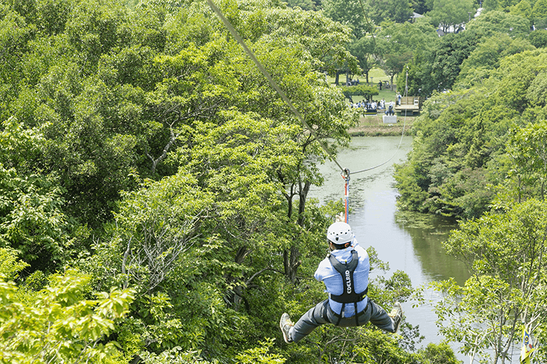 zipline_awaji